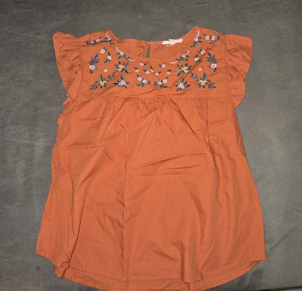 Embroidered Flutter Sleeve Top in Rust Orange